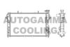 AUTOGAMMA 103400 Radiator, engine cooling